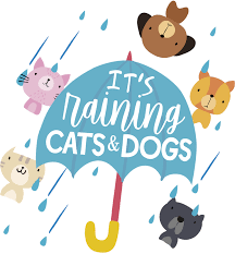 Cats and dogs also contracted and transmitted this horrific disease, spreading it via fleas in their fur. It S Raining Cats And Dogs Wall Sticker Tenstickers