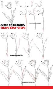 How To Draw Tulips Easy Guide To Drawing Tulips From Side From Above And As Young Buds How To Draw Step By Step Drawing Tutorials Tulip Drawing Flower Drawing