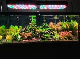 2020 Sb Freshwater Planted Tank Light 45 Inch Pro Timer Aquarium Lightscratched Case From Greensun02 344 73 Dhgate Com
