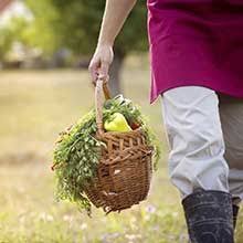Tips Que Faire Au Jardin En Aout Plante Culture Des Legumes Fleur Hiver