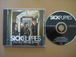 Sick puppies wrote and recorded this song. Sick Puppies You Re Going Down Rare Usa Promo Cd Single 2009 509999 67162 2 9 Ebay