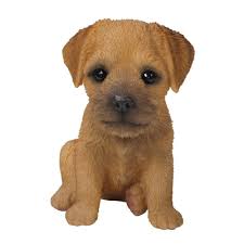 As this sculpture is handmade the bronze colour may vary. Pet Pals Border Terrier Puppy Ornament By Vivid Arts Shop Online For Homeware In Fiji