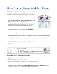 Please enter a question first. Mouse Genetics Gizmo Answer Key Activity A Home School