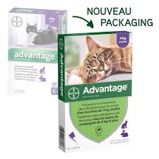 Découvrez de nombreux conseils pour bien protéger votre chat : 17 90 Advantage 80 Elanco Antipuce Chat Lapin