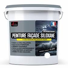 Decouvrez les autres parties de ce cours sur le campus. Peinture Facade Siloxane Hydrofuge Durable Jusqu A 15 Ans Renovation Facade Mur Crepi Arcafacade Siloxane Blanc Ral 9003 10l Ou 60m Leroy Merlin