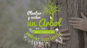 Los arboles son el símbolo que relacionamos con la naturaleza, el equilibrio… 29 De Abril Dia Mundial Del Arbol 29 De Abril Dia Mundial Del Arbol Publicaciones