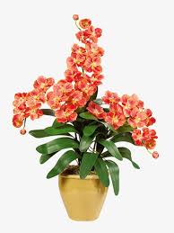 Vasos De Flores E Plantas Da Paisagem Plantas Pot Png Image And Clipart