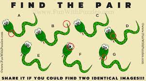 Scroll down to find where is that snake hiding. Find The Pair Puzzle Double Snake