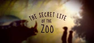 All librivox recordings are in the public domain in the usa and available as free downloads on the internet. The Secret Life Of The Zoo Wikipedia