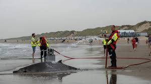 Dambie tensuan nude photos a scheduler made theirs