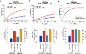 Histone Deacetylase Hdac 1 And 2 Complexes Regulate Both Histone Acetylation And Crotonylation In Vivo Scientific Reports