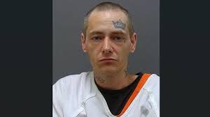 Racine man arrested, accused of shooting duck