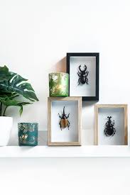 Wanddecoratie Insecten Action Decoratie Decoratie Ideeen Wanden