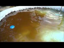 Braunes Pool Wasser Mit Vitamin C Pulver Wieder Klar Youtube In 2021 Vitamin C Swimming Pools Barbecue Grill