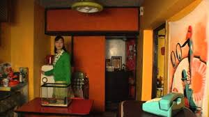 亀は意外と速く泳ぐ の画像検索結果 亀 意外 意外と