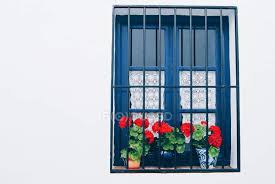 Check spelling or type a new query. Blue Window With Red Flowers In Pots On A Background Of White Wall Land Construction Stock Photo 193453852