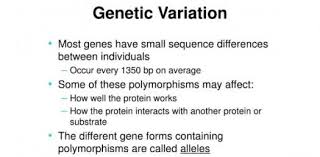 A =able to roll a= not able. How Much You Know About Genetic Variation Trivia Quiz Proprofs Quiz