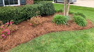Check spelling or type a new query. Mid Atlantic Pine Straw Mulch