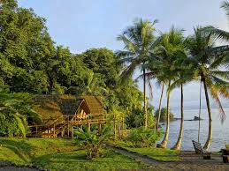 Bahia, estado (state) of eastern brazil. Bahia Solano To Nuqui Best Routes Travel Advice Kimkim