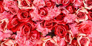 Red is one of the most common and popular rose colors. 21 Special Rose Color Meanings Rose Flower Meanings For Valentine S Day