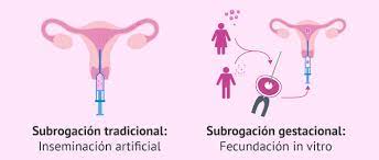 Illinois y california son los estados con normativa más favorable. Que Es La Gestacion Subrogada