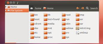 The Linux Directory Structure Explained
