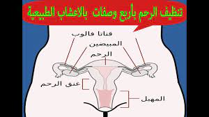 We did not find results for: Ø¹Ù„Ø§Ø¬ Ù…ÙŠÙ„Ø§Ù† Ø§Ù„Ø±Ø­Ù… Ø¨Ø§Ù„Ø§Ø¹Ø´Ø§Ø¨ ÙŠØ®Øµ ÙƒÙ„ Ø§Ù„Ø³ÙŠØ¯Ø§Øª ØºØ±ÙˆØ± ÙˆÙƒØ¨Ø±ÙŠØ§Ø¡
