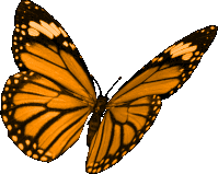 With tenor, maker of gif keyboard, add popular butterfly animated gifs to your conversations. Butterfly Gifs Tenor