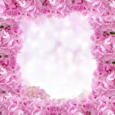 Foto di fiori di ortensie. Cornice Di Fiori Di Ortensia Immagine Gratis Public Domain Pictures