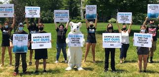 This page is about the various possible meanings of the acronym, abbreviation, shorthand or slang term: Apply To Become A Peta Action Leader Today Peta