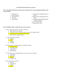 Rna and protein synthesis answer key gizmo.pdf free pdf download lesson info: Dna Rna And Protein Synthesis Worksheet Proteinwalls