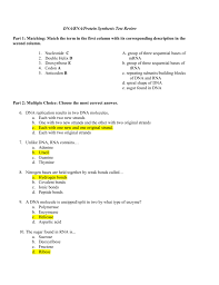 Go through the process of synthesizing proteins through rna transcription and translation. Dna Rna Protein Synthesis Test