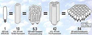 However, how you maintain your grow is just as important. Compact Fluorescent Cfl Grow Lights