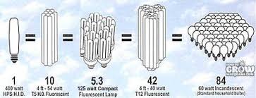 Because of this, cfls are often categorized by lumens. Compact Fluorescent Cfl Grow Lights
