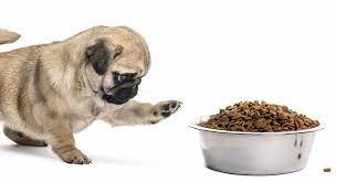 As for the puppies, they need about 1 ounce (28 g) of food for each pound of. Feeding A Pug Puppy Our Complete Guide