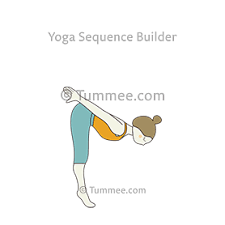 Diver Pose Yoga Yoga Sequences Benefits Variations And Sanskrit Pronunciation Tummee Com Standing Yoga Poses Standing Yoga Yoga Poses