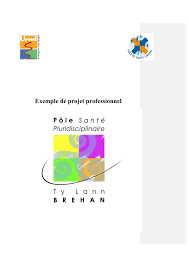 · february 9, 2014 ·. Exemple De Projet Professionnel