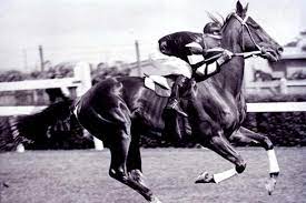 For decades, the united states and the soviet union engaged in a fierce competition for superiority in space. Melbourne Cup 2016 Test Your Knowledge With Our Quiz Abc News Australian Broadcasting Corporation