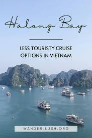 Maybe you would like to learn more about one of these? Halong Bay Alternatives Halong Vs Bai Tu Long Vs Lan Ha Bay