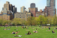 This park is home to artificial lakes, waterfalls, meadows besides being the city's primary green lungs, central park is a favourite spot for many new yorkers, as it is perfect for sunbathing, going for walks. Central Park Wikipedia