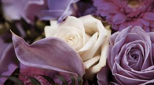 Maybe you would like to learn more about one of these? Flowers Mkd Funeral Homes Grand Rapids Mi