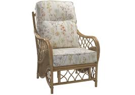 Add an elegant conservatory accent chair to your conservatory for additional seating with style. Oslo Light Oak Armchair Desser Co