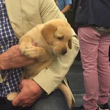 Laura Sammarco (@LauraSammarco)