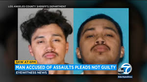 Man accused in series of brutal attacks across LA makes first court  appearance; pleads not guilty
