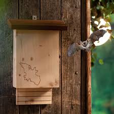 Fledermauskasten Waschbar In 2020 Fledermauskasten Gartenzubehor Naturgarten