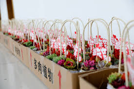 鲜花赠园丁元宵暖人心- 浙江省成人教育与职业教育协会主办