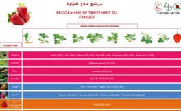 Pelez et lavez les pommes de terre. Programme Et Guides De Traitement De Cultures