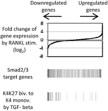Liu kang is a character in the mortal kombat fighting game series. Asbmr 2010 Annual Meeting Sa0001 Sa0485 2010 Journal Of Bone And Mineral Research Wiley Online Library
