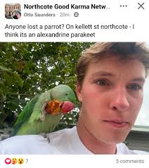 Bird found in Northcote, Thornbury area