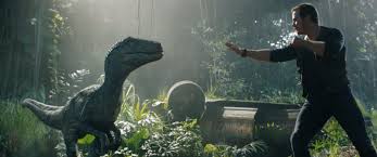 Velociraptor Jurassic Park Fallen Kingdom 1800x754 Wallpaper Teahub Io Tumblr is a place to express yourself, discover yourself, and bond over the stuff you love. velociraptor jurassic park fallen
